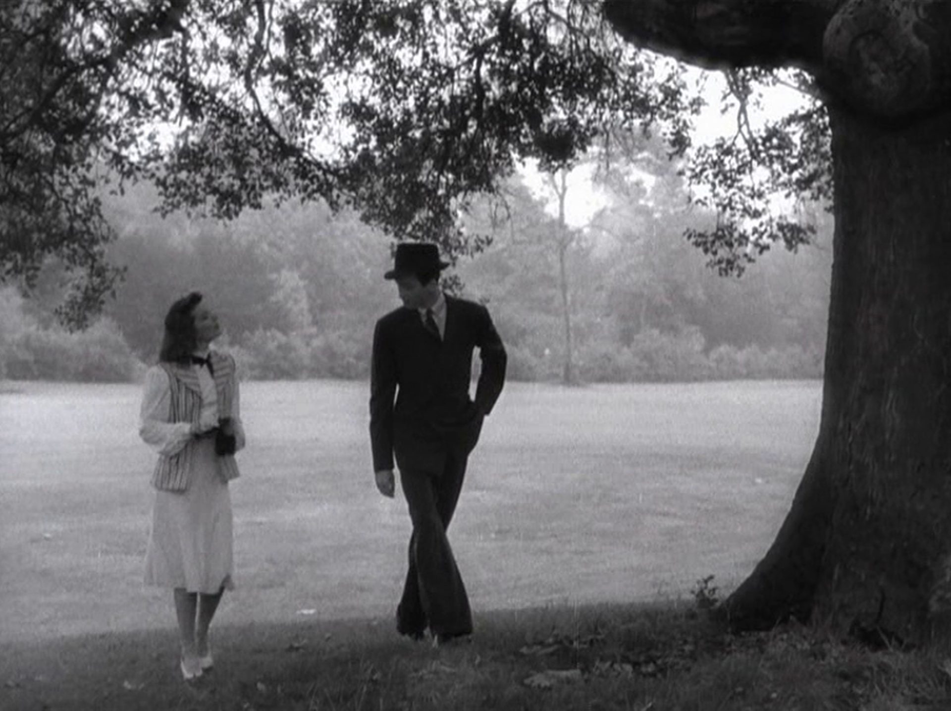 Katharine Hepburn und James Stewart als Tracy und Mike beim Spaziergang unter einem alten Baum in einem Park.