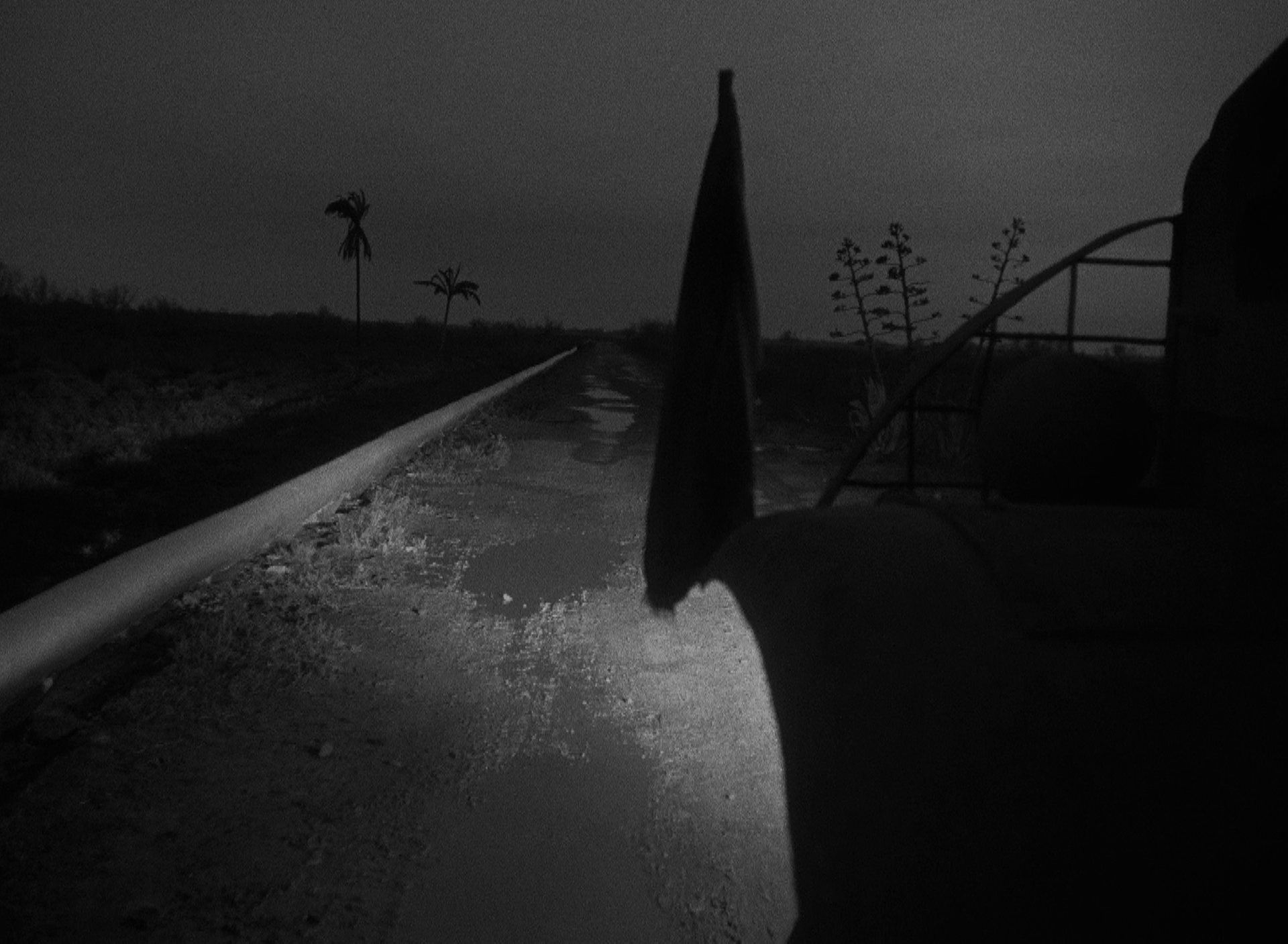Nachtfahrt, Blick vom vorderen linken Kotflügel auf die unwegsame Straße, im Hintergrund zwei einsame Palmen.